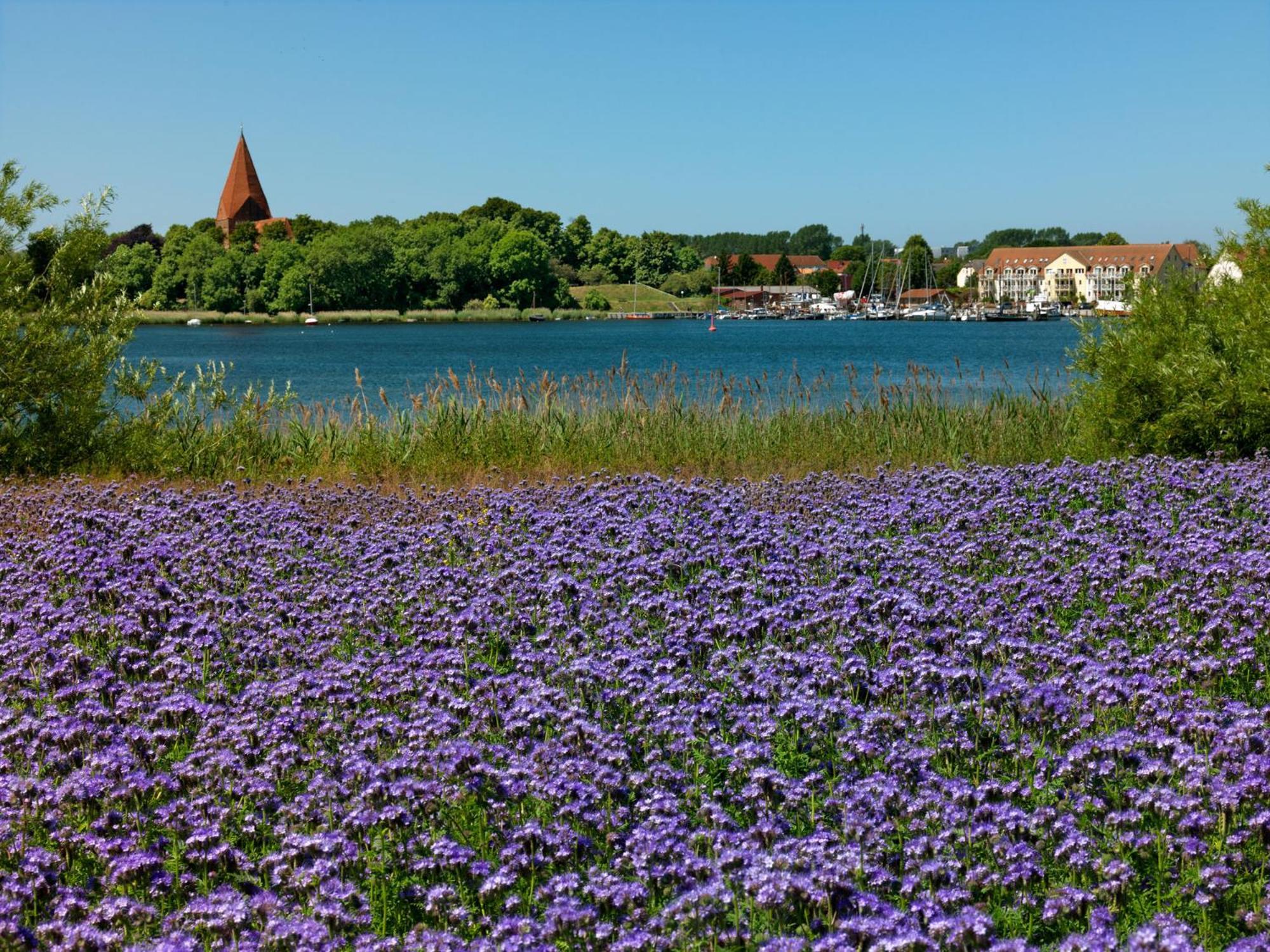 Appartamento Residenz Am Yachthafen Windspiel Kirchdorf  Esterno foto